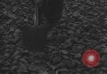 Image of German workers Berlin Germany, 1948, second 29 stock footage video 65675045576