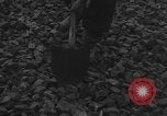Image of German workers Berlin Germany, 1948, second 30 stock footage video 65675045576