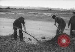 Image of German workers Berlin Germany, 1948, second 32 stock footage video 65675045576