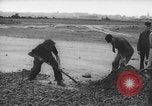Image of German workers Berlin Germany, 1948, second 33 stock footage video 65675045576