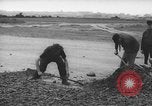 Image of German workers Berlin Germany, 1948, second 34 stock footage video 65675045576