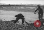 Image of German workers Berlin Germany, 1948, second 35 stock footage video 65675045576
