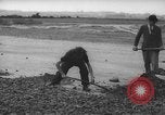 Image of German workers Berlin Germany, 1948, second 36 stock footage video 65675045576