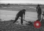 Image of German workers Berlin Germany, 1948, second 37 stock footage video 65675045576
