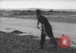 Image of German workers Berlin Germany, 1948, second 40 stock footage video 65675045576