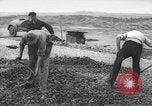 Image of German workers Berlin Germany, 1948, second 52 stock footage video 65675045576