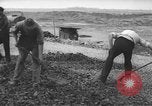 Image of German workers Berlin Germany, 1948, second 53 stock footage video 65675045576