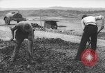 Image of German workers Berlin Germany, 1948, second 55 stock footage video 65675045576