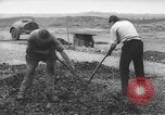 Image of German workers Berlin Germany, 1948, second 56 stock footage video 65675045576