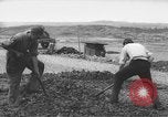 Image of German workers Berlin Germany, 1948, second 58 stock footage video 65675045576