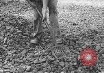 Image of German workers Berlin Germany, 1948, second 60 stock footage video 65675045576