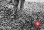 Image of German workers Berlin Germany, 1948, second 61 stock footage video 65675045576