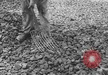 Image of German workers Berlin Germany, 1948, second 62 stock footage video 65675045576