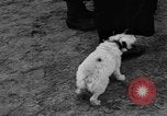 Standbild deutsche Soldaten Ukraine, 1944, aus Sekunde 35 historischem Filmmaterial Videoclip 65675045586