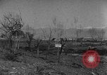 Image of German soldiers Italy, 1944, second 17 stock footage video 65675045587
