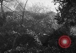 Image of German soldiers Italy, 1944, second 18 stock footage video 65675045587