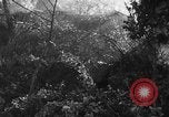 Image of German soldiers Italy, 1944, second 19 stock footage video 65675045587