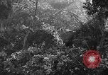 Image of German soldiers Italy, 1944, second 20 stock footage video 65675045587