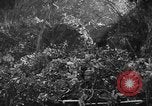 Image of German soldiers Italy, 1944, second 21 stock footage video 65675045587