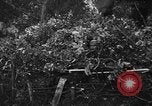 Image of German soldiers Italy, 1944, second 23 stock footage video 65675045587