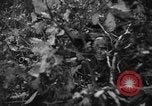 Image of German soldiers Italy, 1944, second 25 stock footage video 65675045587