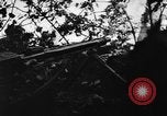 Image of German soldiers Italy, 1944, second 27 stock footage video 65675045587