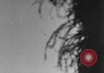 Image of German soldiers Italy, 1944, second 44 stock footage video 65675045587