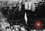 Image of German soldiers Italy, 1944, second 51 stock footage video 65675045587