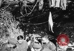 Image of German soldiers Italy, 1944, second 52 stock footage video 65675045587