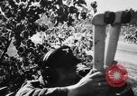 Image of German troops in action on Eastern Front Belarus, 1944, second 9 stock footage video 65675045592