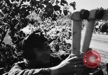 Image of German troops in action on Eastern Front Belarus, 1944, second 10 stock footage video 65675045592