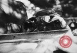 Image of German troops in action on Eastern Front Belarus, 1944, second 23 stock footage video 65675045592