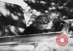 Image of German troops in action on Eastern Front Belarus, 1944, second 24 stock footage video 65675045592