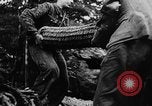Image of German troops France, 1944, second 10 stock footage video 65675045594