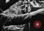 Image of German troops France, 1944, second 30 stock footage video 65675045594