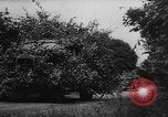 Image of German troops France, 1944, second 33 stock footage video 65675045594