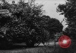 Image of German troops France, 1944, second 34 stock footage video 65675045594