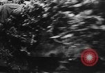 Image of German troops France, 1944, second 42 stock footage video 65675045594