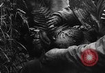 Image of German soldiers France, 1944, second 57 stock footage video 65675045595