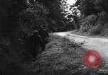 Image of German soldiers France, 1944, second 1 stock footage video 65675045596