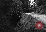 Image of German soldiers France, 1944, second 3 stock footage video 65675045596