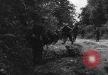 Image of German soldiers France, 1944, second 10 stock footage video 65675045596