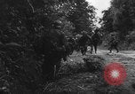 Image of German soldiers France, 1944, second 11 stock footage video 65675045596