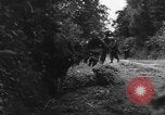 Image of German soldiers France, 1944, second 12 stock footage video 65675045596