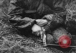 Image of German soldiers France, 1944, second 14 stock footage video 65675045596