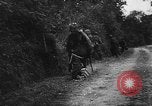 Image of German soldiers France, 1944, second 15 stock footage video 65675045596