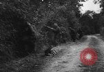 Image of German soldiers France, 1944, second 17 stock footage video 65675045596