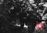 Image of German soldiers France, 1944, second 32 stock footage video 65675045596