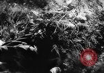 Image of German soldiers France, 1944, second 53 stock footage video 65675045596