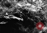 Image of German soldiers France, 1944, second 54 stock footage video 65675045596